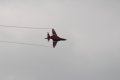 103-dsc_4744.jpg.small.jpeg