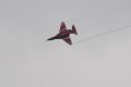 104-dsc_4754.jpg.small.jpeg