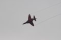 105-dsc_4756.jpg.small.jpeg