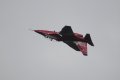 113-dsc_4782.jpg.small.jpeg