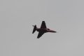 115-dsc_4795.jpg.small.jpeg
