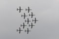 124-dsc_4831.jpg.small.jpeg