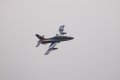 127-dsc_4842.jpg.small.jpeg