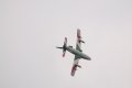 130-dsc_4850.jpg.small.jpeg