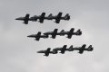 132-dsc_4854.jpg.small.jpeg