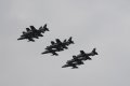 133-dsc_4856.jpg.small.jpeg