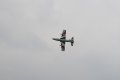 139-dsc_4888.jpg.small.jpeg