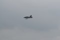 140-dsc_4891.jpg.small.jpeg
