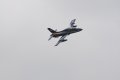 144-dsc_4901.jpg.small.jpeg