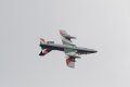 148-dsc_4905.jpg.small.jpeg