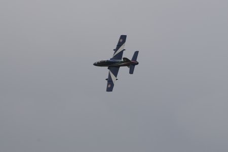 150-dsc_4913.jpg.medium.jpeg