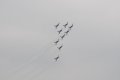 151-dsc_4916.jpg.small.jpeg