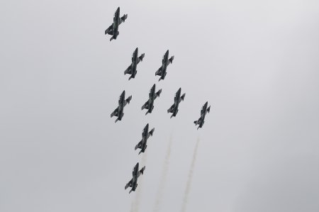 153-dsc_4919.jpg.medium.jpeg