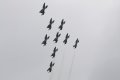 153-dsc_4919.jpg.small.jpeg