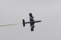 154-dsc_4920.jpg.small.jpeg