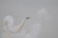 161-dsc_4952.jpg.small.jpeg