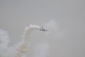 162-dsc_4954.jpg.small.jpeg