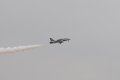 163-dsc_4965.jpg.small.jpeg